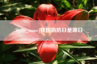昌都我国消防日是哪日