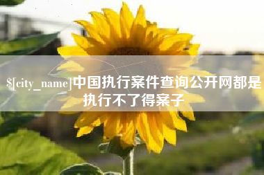 昌都中国执行案件查询公开网都是执行不了得案子
