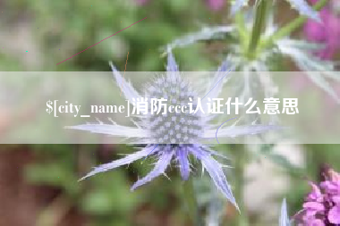 昌都消防ccc认证什么意思