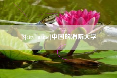 昌都中国的消防大学