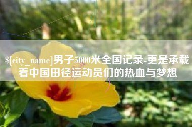 昌都男子5000米全国记录-更是承载着中国田径运动员们的热血与梦想