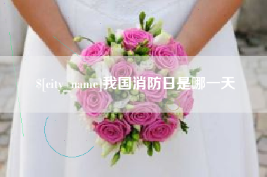 昌都我国消防日是哪一天