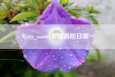 昌都全国消防日哪一