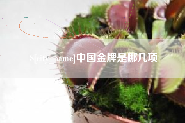 昌都中国金牌是哪几项