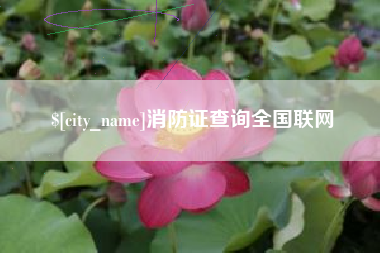 昌都消防证查询全国联网