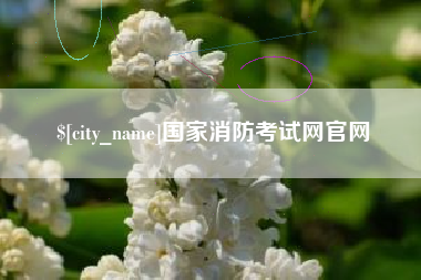 昌都国家消防考试网官网