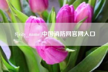 昌都中国消防网官网入口