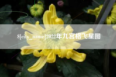 昌都2022年九宫格飞星图