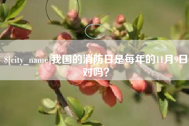 昌都我国的消防日是每年的11月9日对吗？
