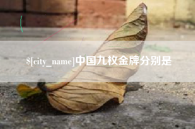 昌都中国九枚金牌分别是