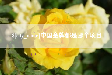 昌都中国金牌都是哪个项目