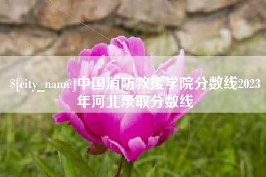 昌都中国消防救援学院分数线2023年河北录取分数线