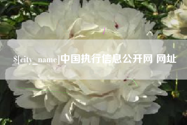 昌都中国执行信息公开网 网址