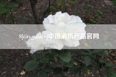 昌都中国消防产品官网