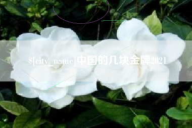 昌都中国的几块金牌2021