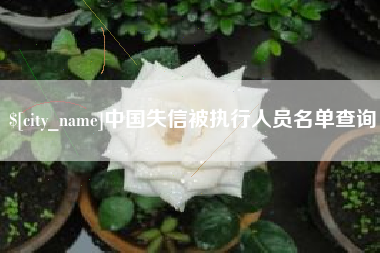 昌都中国失信被执行人员名单查询