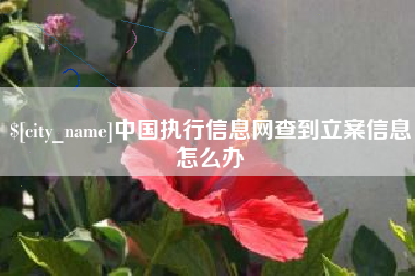 昌都中国执行信息网查到立案信息怎么办