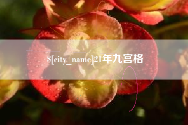 昌都21年九宫格