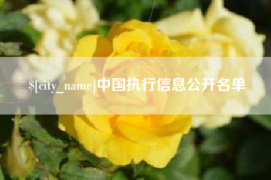 昌都中国执行信息公开名单