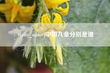 昌都中国九金分别是谁