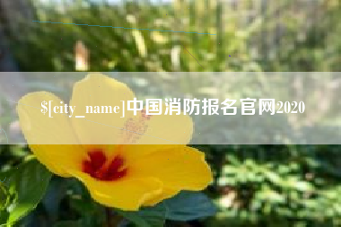 昌都中国消防报名官网2020
