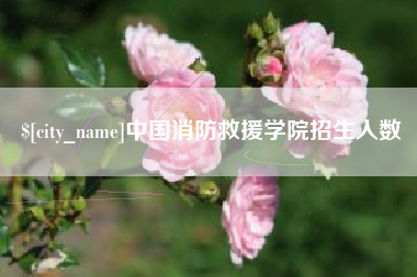 昌都中国消防救援学院招生人数