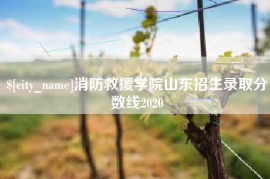 昌都消防救援学院山东招生录取分数线2020