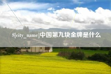 昌都中国第九块金牌是什么