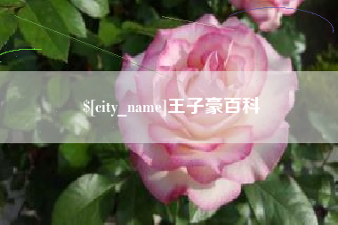 昌都王子豪百科