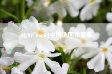 昌都中国地图像素版