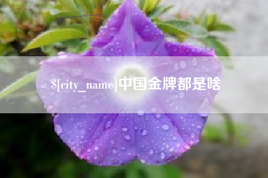 昌都中国金牌都是啥
