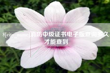 昌都消防中级证书电子版查询多久才能查到
