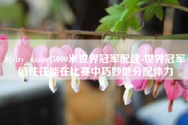 昌都5000米世界冠军配速-世界冠军们往往能在比赛中巧妙地分配体力