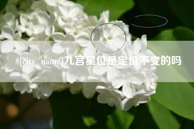 昌都九宫星位是定位不变的吗
