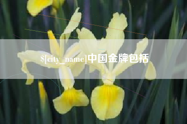 昌都中国金牌包括