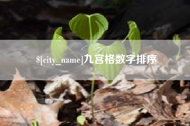 昌都九宫格数字排序