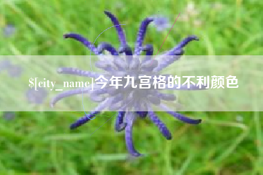 昌都今年九宫格的不利颜色