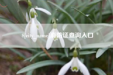 昌都消防证查询入口