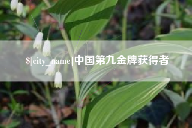 昌都中国第九金牌获得者