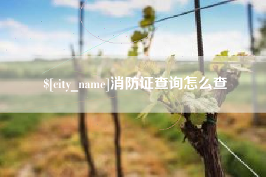 昌都消防证查询怎么查