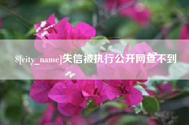 昌都失信被执行公开网查不到