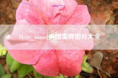 昌都中国金牌图片大全