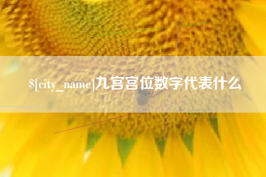 昌都九宫宫位数字代表什么
