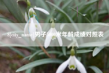 昌都男子5000米年龄成绩对照表