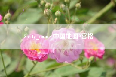 昌都中国地图9宫格