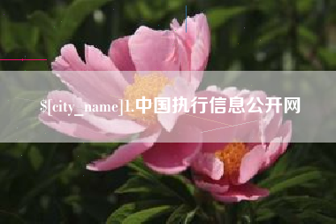 昌都1.中国执行信息公开网