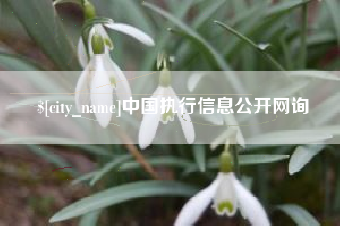 昌都中国执行信息公开网询