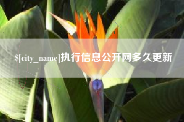 昌都执行信息公开网多久更新