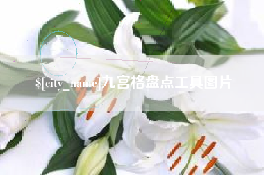 昌都九宫格盘点工具图片