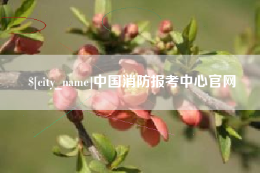 昌都中国消防报考中心官网